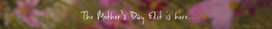 Blurred flowers with text overlay 'The Mother's Day Edit is here.'
