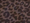 Espresso Leopard